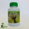 DENTE DE LEAO 500MG 60 CAPS