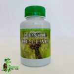 DENTE DE LEAO 500MG 60 CAPS