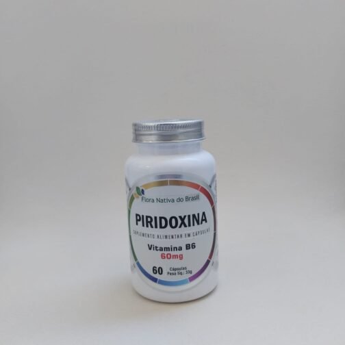 VITAMINA B6 (60MG PIRIDOXINA) 550MG 60 CAPS