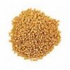 AIPO GRAO 50G - Imagem 2