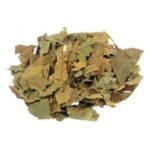 ABACATEIRO KG A GRANEL