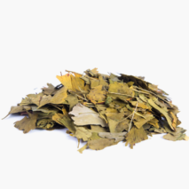 GINKGO  BILOBA KG A GRANEL