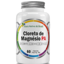 CLORETO DE MAGNESIO PA 500 MG 90 CAPS - NOVO