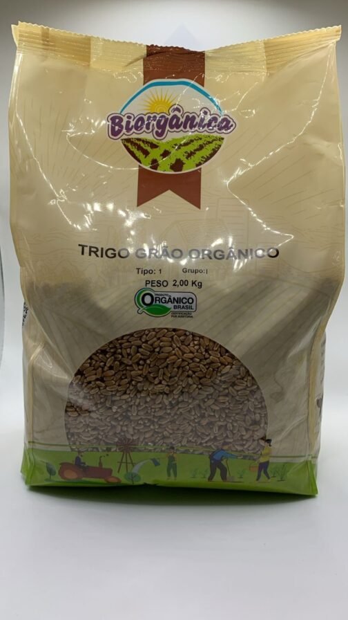 TRIGO EM GRAOS ORGANICO KG A GRANEL