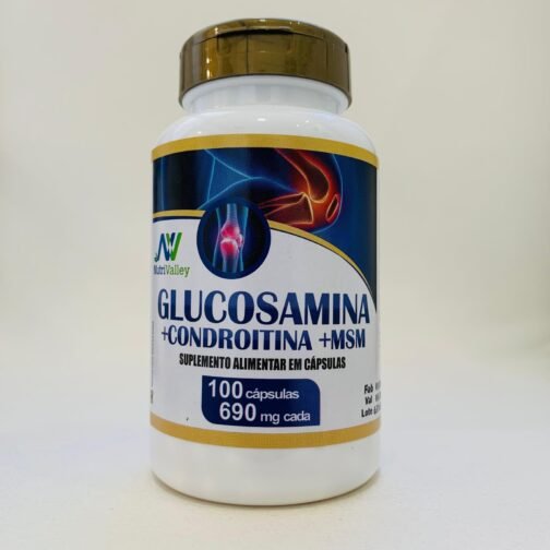 GLUCOSAMINA + CONDROITINA + MSM 100 CPS 690MG