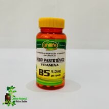 ACIDO PANTOTENICO VIT. B 5 60 CAPS 500MG