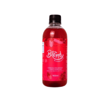 BLEND KOMBUCHA COM MORANGO E HIBISCO 400ML WOLFF