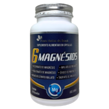 6 MAGNÉSIOS 60 CÁPSULAS