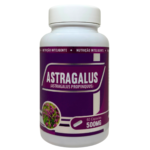 ASTRAGALUS 500MG 60 CÁPSULAS