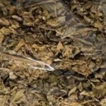COMPOSTO BRONQUITE 70G