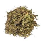 STEVIA KG A GRANEL