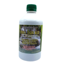 VIDA E VIGOR REAL 500ML