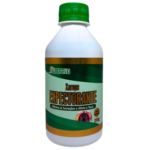 XAROPE EXPECTORANTE 290G