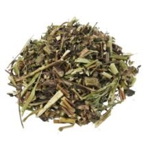 ARTEMISIA KG A GRANEL