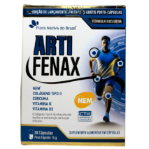 ARTIFENAX (NEM + ASSOCIAÇÕES) 30 CÁPSULAS