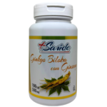 GINKGO BILOBA COM GINSENG 500MG 100 CÁPSULAS